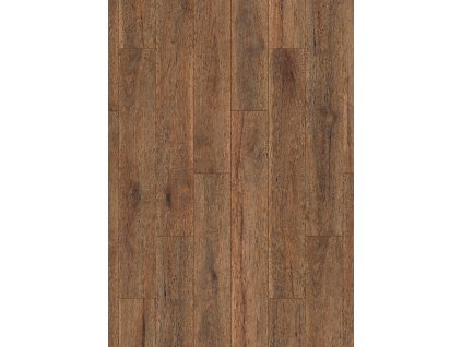 ST14 Hickory Indian