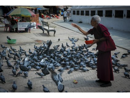 Mnich – Boudhanath, Nepál