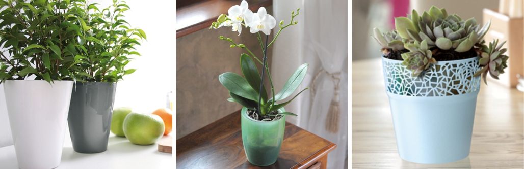 kvetinace-na-orchideje