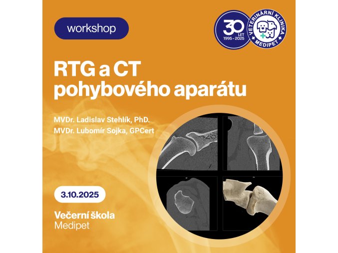 rtg ct stehlik sojka
