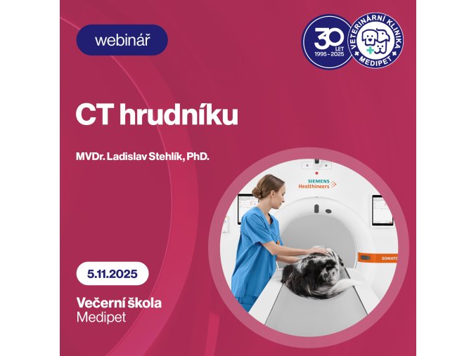 ct hrudnik