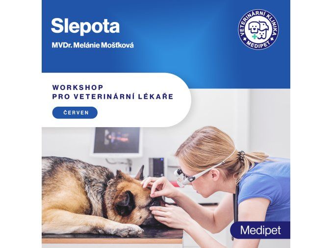 05 slepota