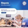 05 slepota