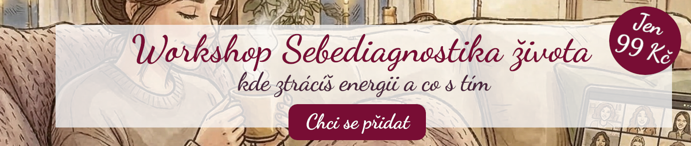 Workshop Sebediagnostika života