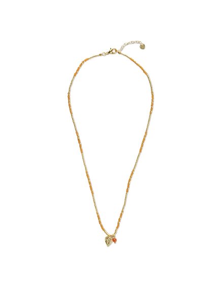 BL31239 1 2048x2048.jpg 2