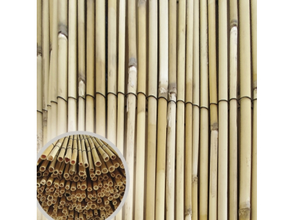rakosova rohoz reedpil vyska 100 cm delka 5 m 8595068453063