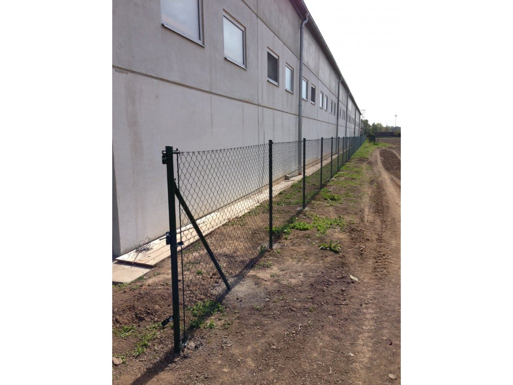 Poplastované pletivo ECONOMY bez ND výška 100 cm, drát 2,5 mm, oko 60x60 mm, PVC, zelené