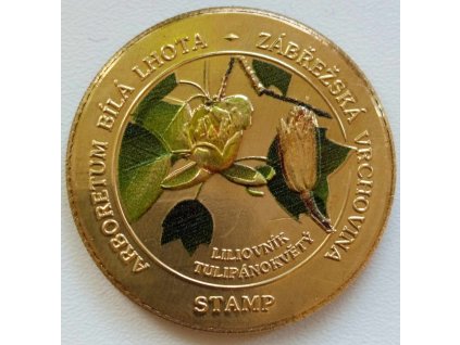 480801936 23933499842916765 4452186545406341249 n