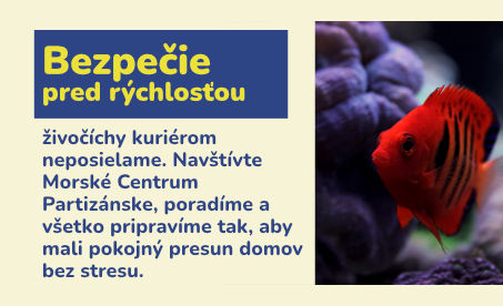 Aktuálne na predajni