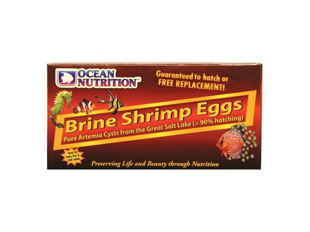 ocean nutrition brine shrimp eggs 20g 1024x1024