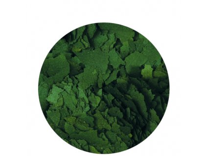 spirula