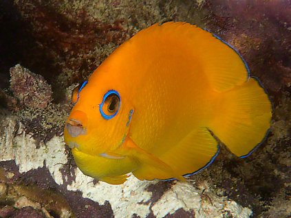 0092f9fe 78b9 484a a894 6dbc3d2d59ee rw 1200