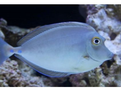 2e1f690a290ef387c83e3001ff4712c9