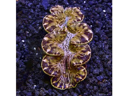 30 7e09a8fd a49f 4bae a61d 9c28fe3347a2 1920x