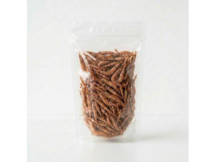 krill
