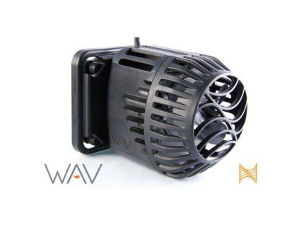wav 1