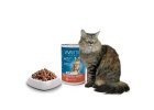 Dry food for cats