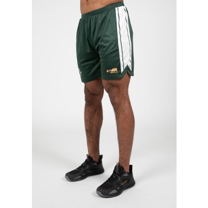 91082400 orlando shorts green 12