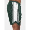 91082400 orlando shorts green 15
