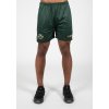 91082400 orlando shorts green 18