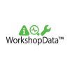 autodiagnostika knihy prirucky haynes workshopdata business vivid