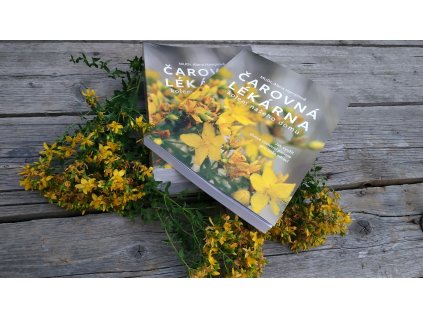 Tištěná kniha - Čarovná lékárna kolem našeho domu