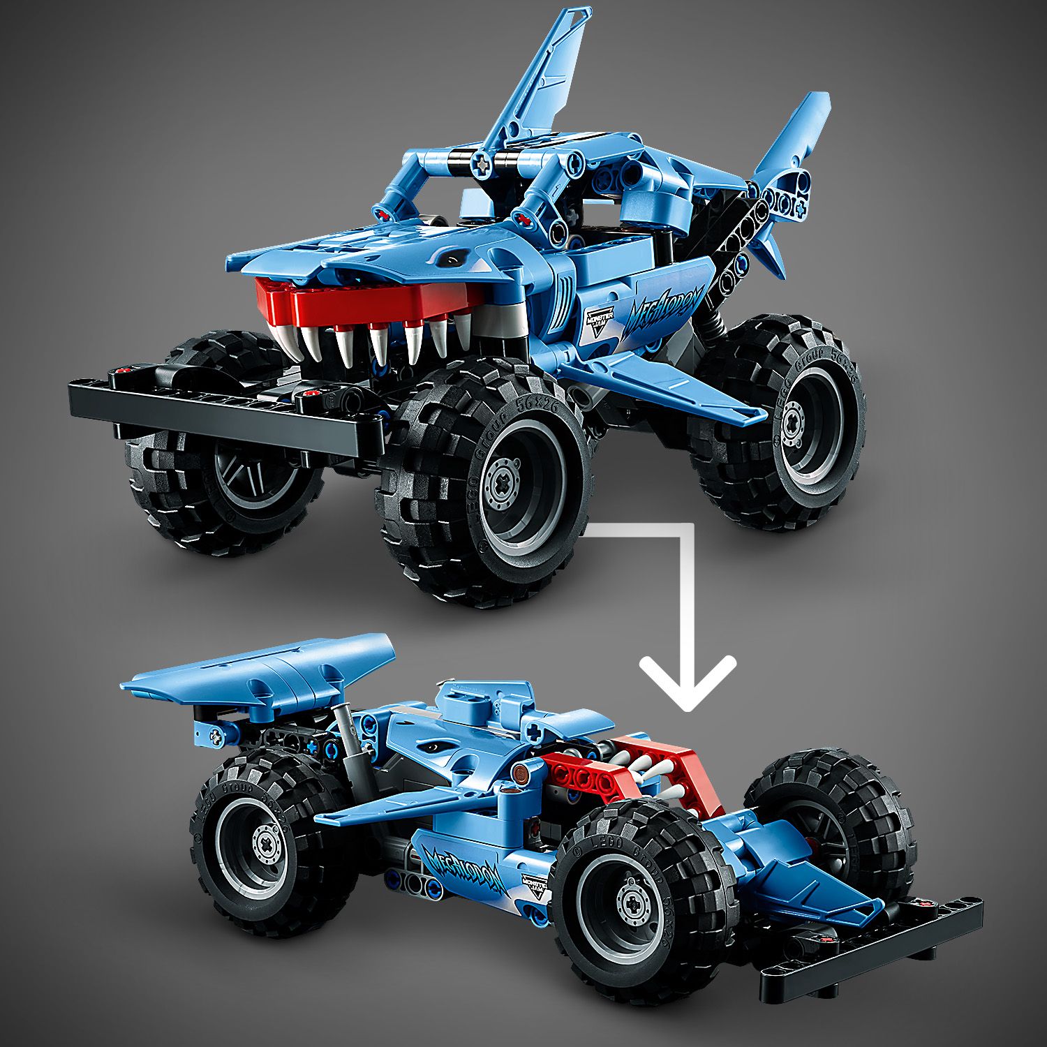 42134_Feature2