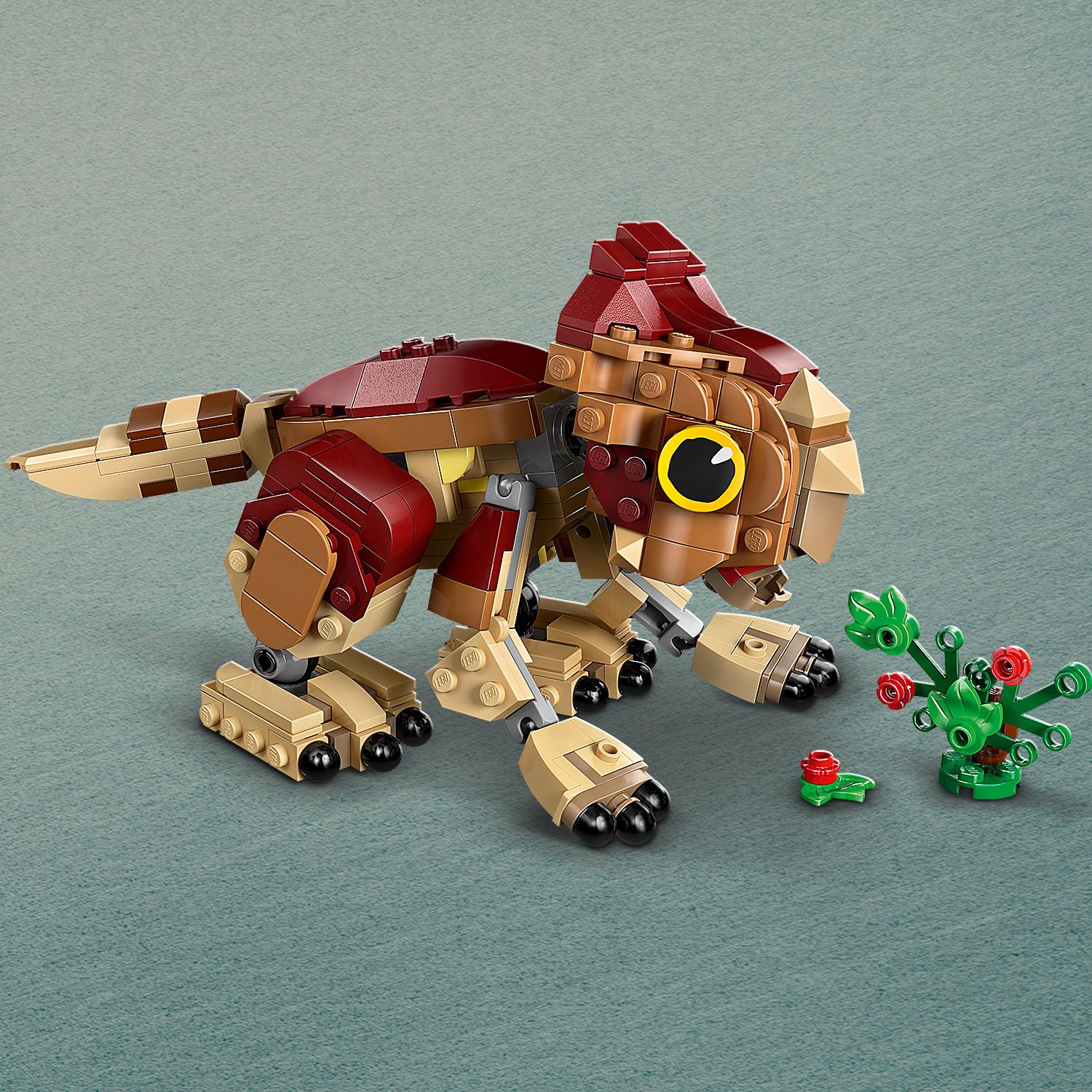 76970_Feature1