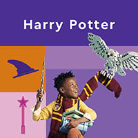 LEGO® Harry Potter