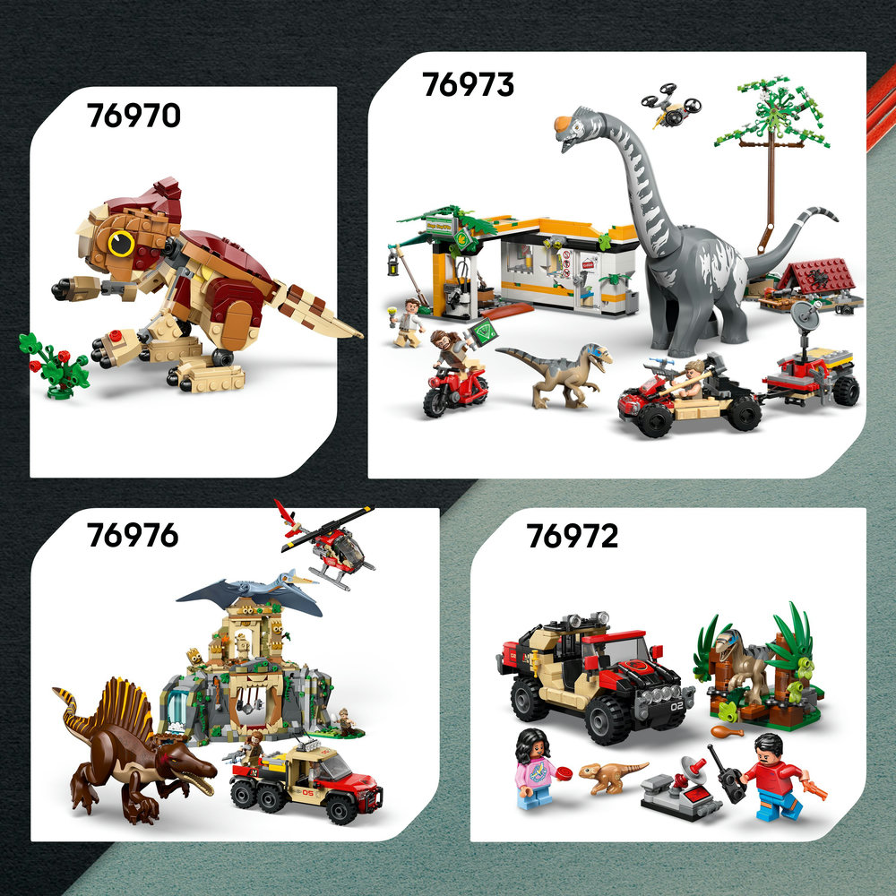 LEGO LEGO® Jurassic World 76975 T-rex a útěk po řece (obrázek 8)
