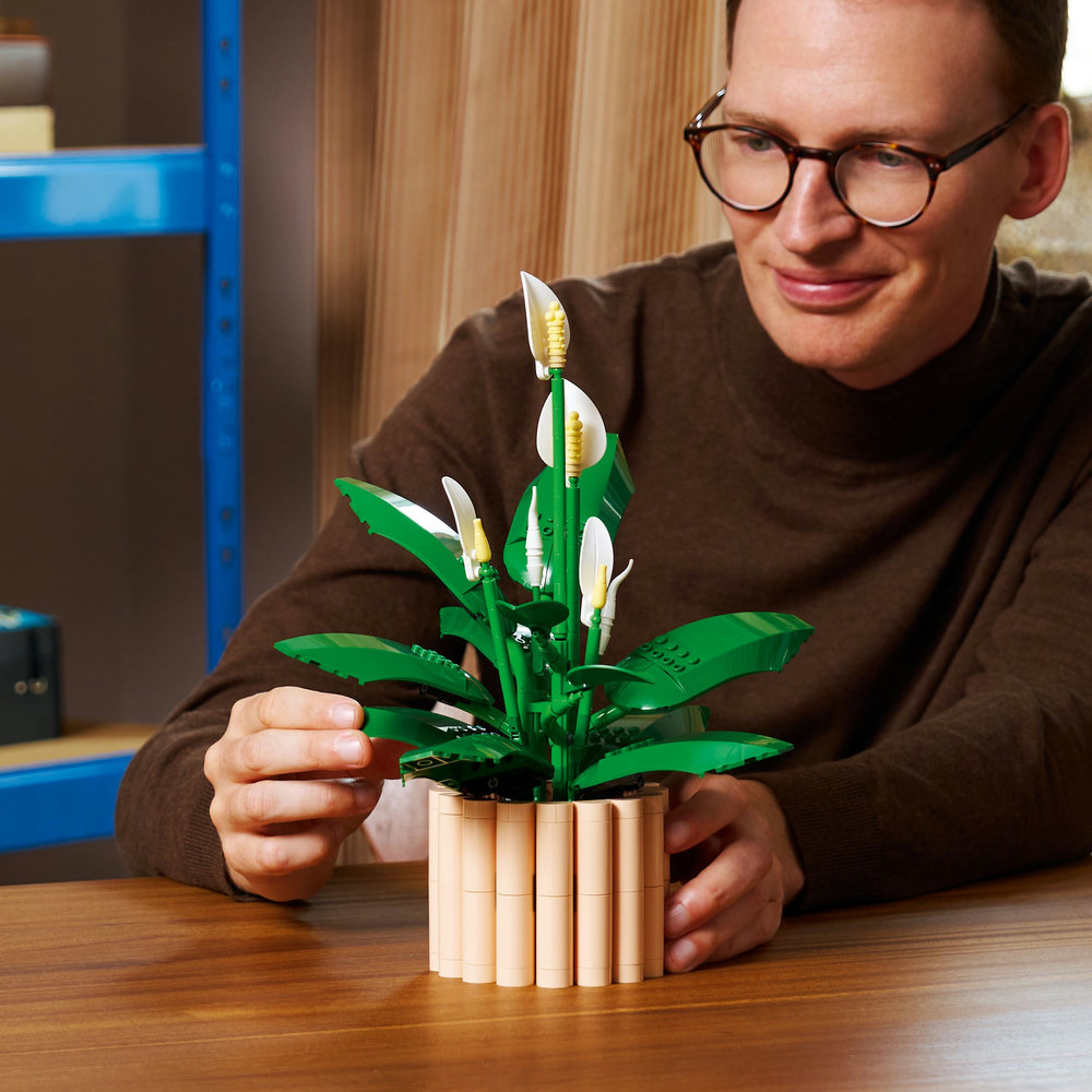 LEGO LEGO® Botanicals 11504 Lopatkovec (obrázek 4)