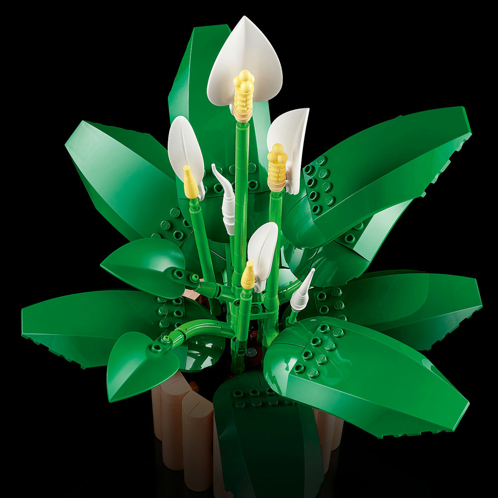 LEGO LEGO® Botanicals 11504 Lopatkovec (obrázek 5)