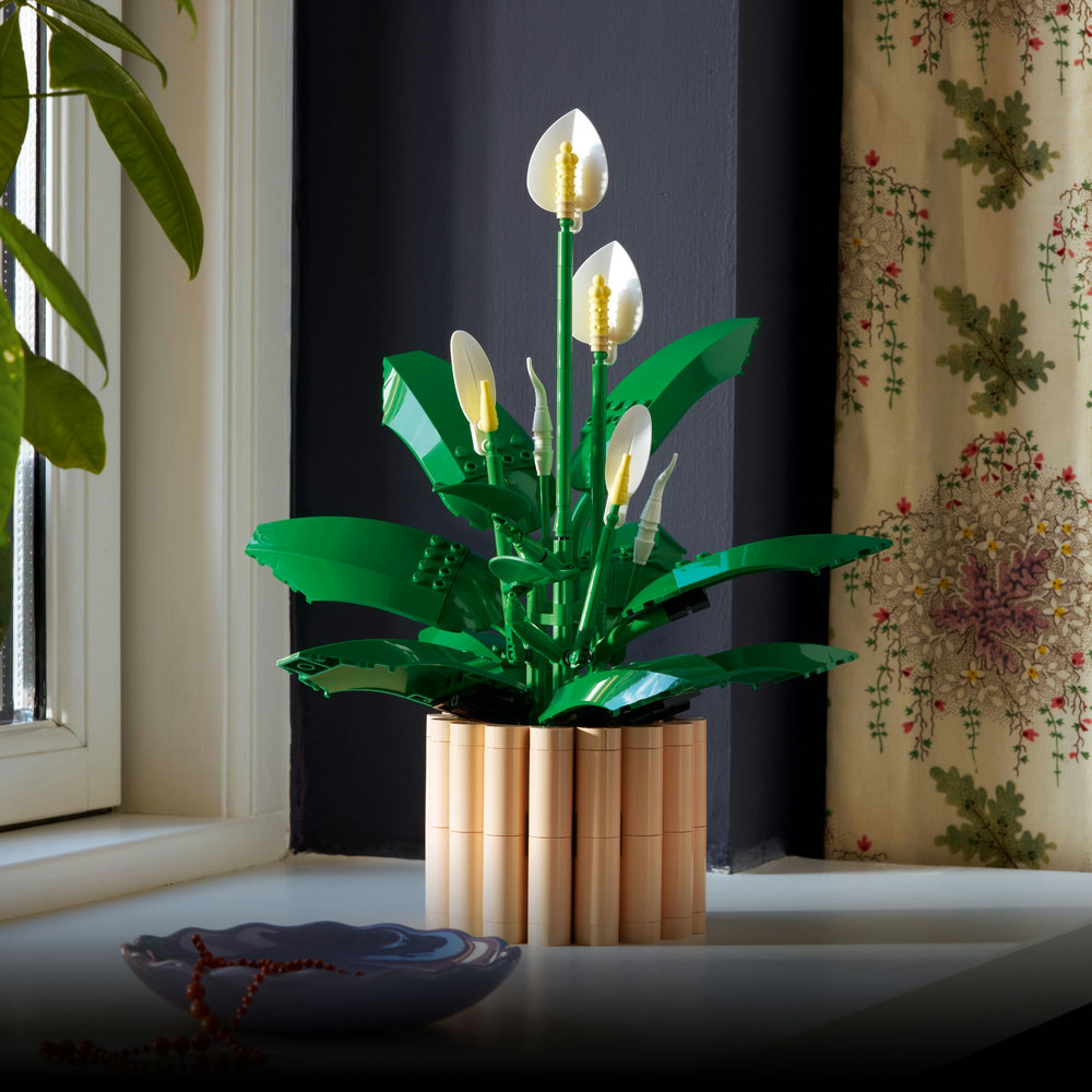 LEGO LEGO® Botanicals 11504 Lopatkovec (obrázek 7)