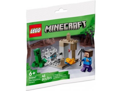 LEGO® Minecraft® 30647 The Dripstone Cavern