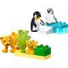 28033 1 lego duplo 10442 rodinky divokych zvirat tucnaci a lvi