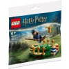 LEGO® Harry Potter™ 30651 Famfrpálový trénink