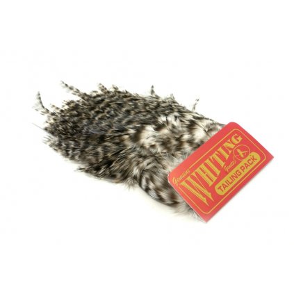 dealerweb cms 19f69bc7 d01c 4c3d 8239 0c76f84c1d3a