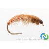 Czech nymph 1