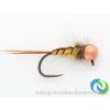 Larva chrostíka - copper