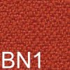 BN1