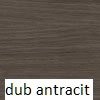 dub antracit