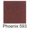Phoenix593