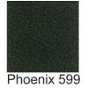 Phoenix599