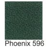 Phoenix596