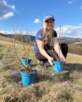 🫐SADENICE ČUČORIEDOK A INÉHO DROBNÉHO OVOCIA – stále v predaji🫐 S nami sa tvoje rastliny nebudú len usmievať na slnku, ale...