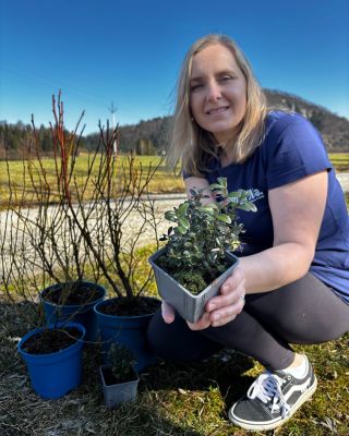 🫐 NOVÝ ESHOP MYRTILLA JE SPUSTENÝ! 🌿 👉 https://eshop.myrtilla.sk Objav široký výber sadeníc drobného ovocia na jednom...