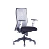 Calypso XL BP