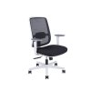 DY20040001 119121 B01 CANTO WHITE BP CERNA