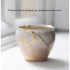 2026 148x148 kintsugi 01 copy