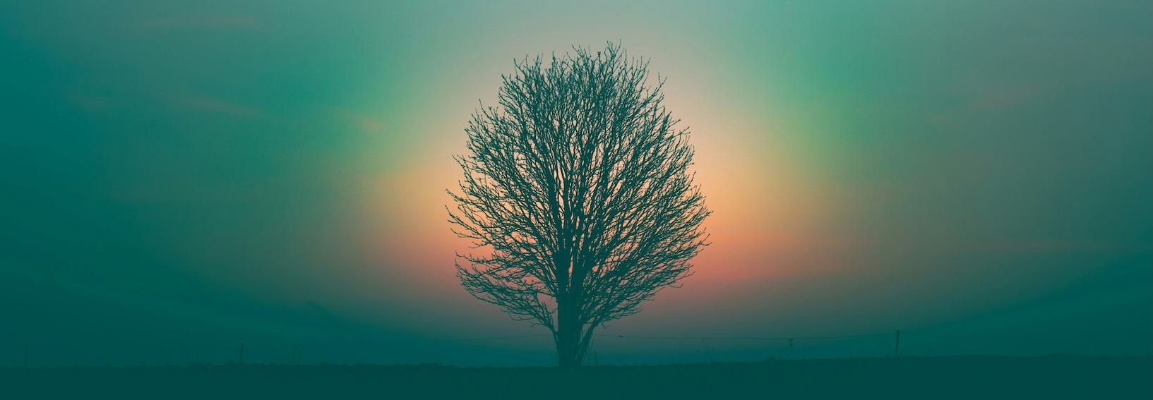 Banner spiritualita